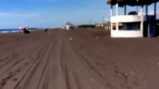 Monterrico Beach-ATV Ride 🏖