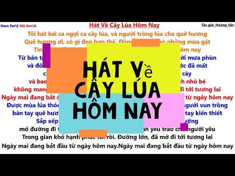 lời bài hát hát về cây lúa hôm nay