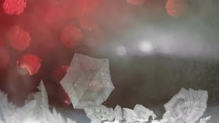 Freezing Snow Pattern , Winter Holidays Background, | Stock Footage - Videohive Profile