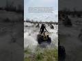 Массовка #atv #offroad #покатушки