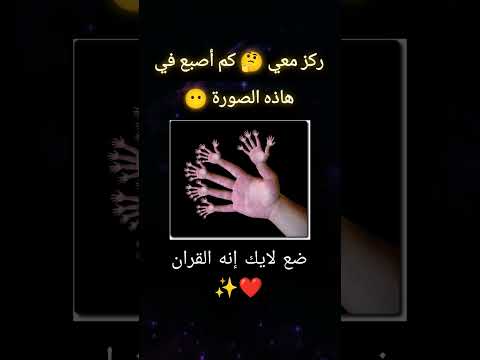 ركز و فهم الصورة قبل أن تختار راحة نفسية  قران كريم  الله القرآن الكريم 