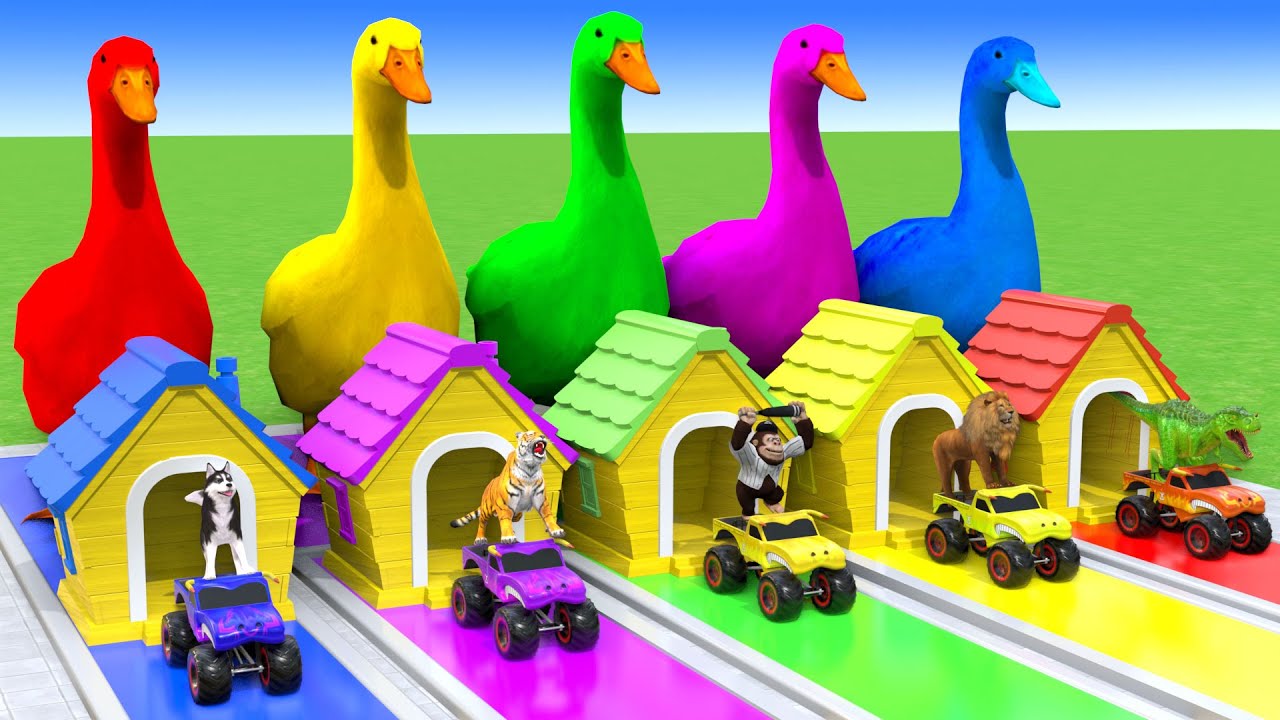 5 Giant Duck Cartoon,Cow,Elephant,Tiger,Lion,Dinosaur,Paint Wild Animals Crossing Fountain Animation