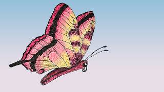 Butterfly Meditative Drawing screenshot 3
