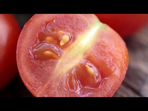 Pomodori, colture antiche