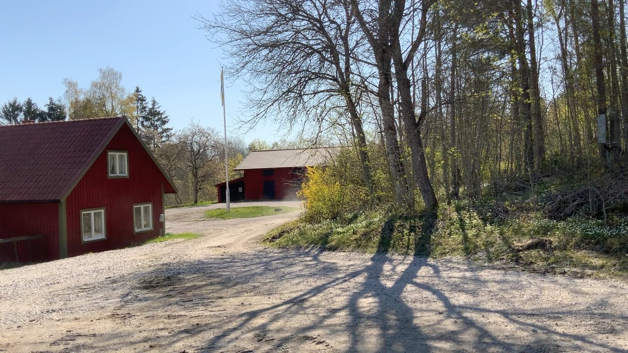 Köp Traktorgrävare Massey-Ferguson 50 B på Klaravik