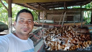 NA SUA REGIÃO TEM ESSE BICHO? ACABOU COM A EMBARCAÇÃO 