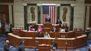 Congress averts government shutdown | NewsNation Prime