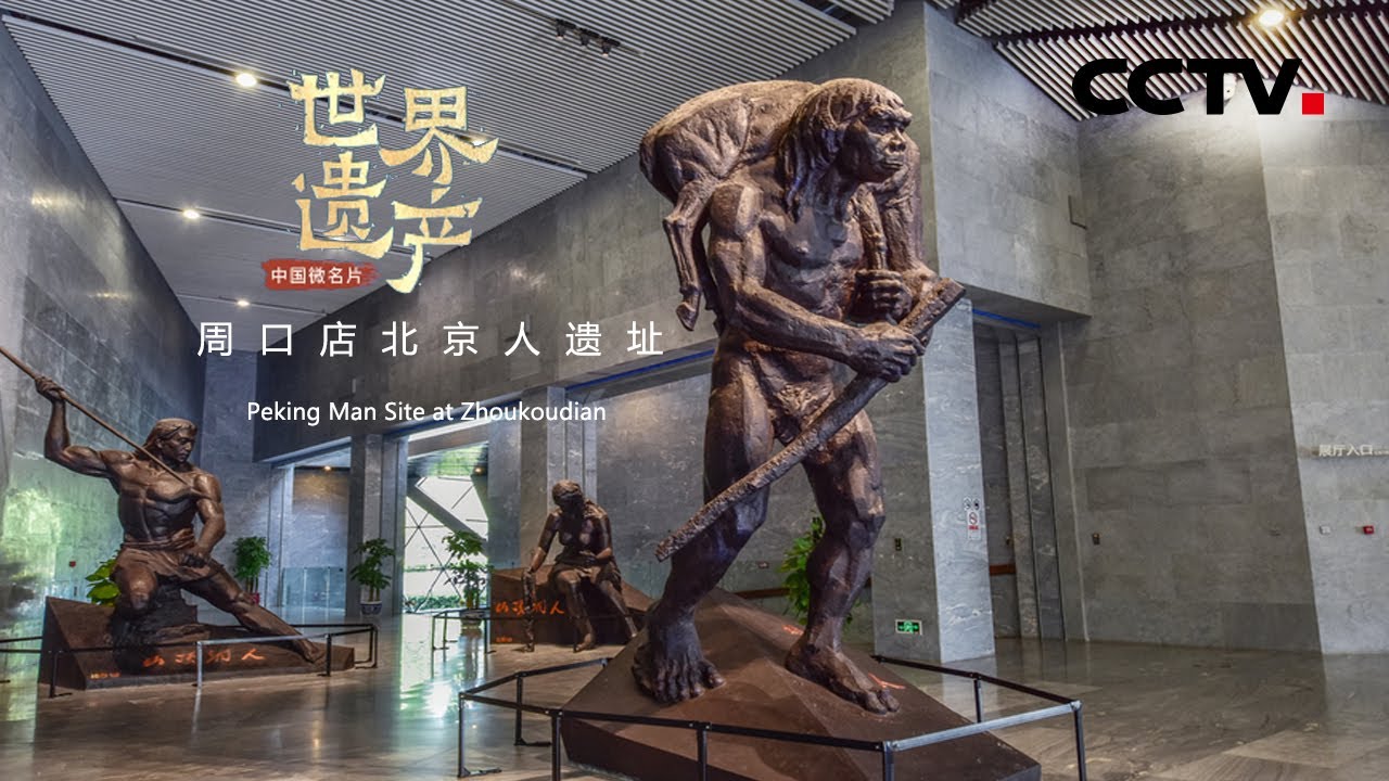 中国微名片——世界遗产》（第一季）第十三集你们知道远古的人类长什么
