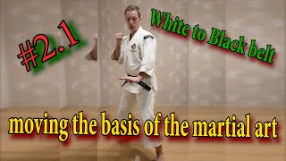 Shorinji Kempo training techniques stances, slopes, movements.Martial arts lessons. 武道少林寺拳法