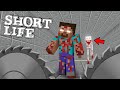 Monster School: minecraft animation