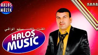 Abravi - Benel Cerye - Selim El Vafi 2022 الفنان سليم الوافي