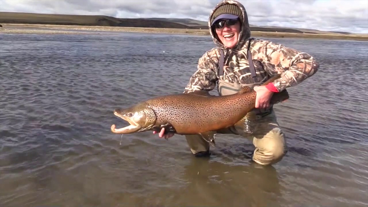 Fly Fishing for Argentina's Sea-run Brown Trout - Fly Fisherman