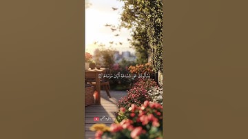 تلاوة خاشعة للشيخ ماهر المعيقلي 🎧❤️‍🩹 #أرح_سمعك_وقلبك #اكسبلور #طمئن_قلبك #ماهر_المعيقلي #حالات_واتس