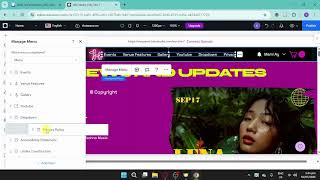 How to Do Drop Down Menu in Wix Studio