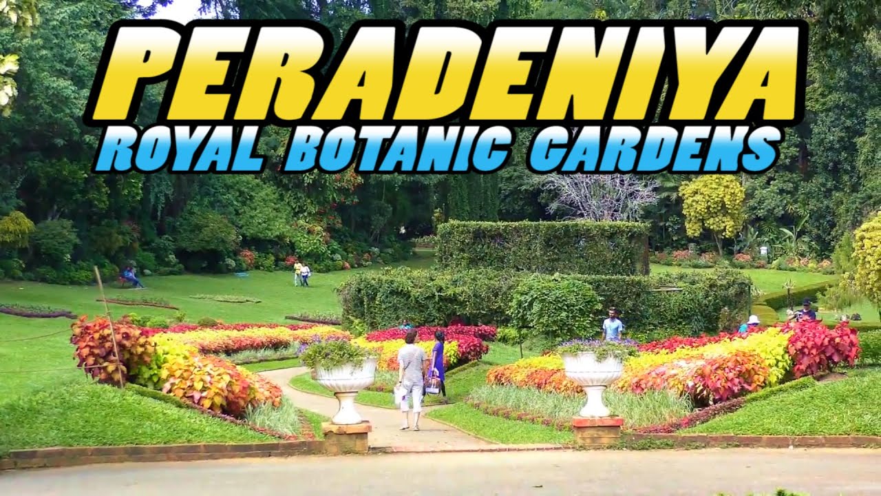 PERADENIYA   Royal Botanic Gardens   Sri Lanka 4K