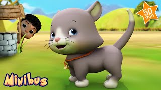 Ding Dong Bell : The Baby Cat Song + More Nursery Rhymes &amp; Kids Songs | Minibus