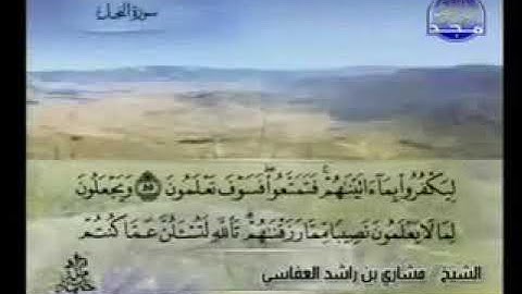 يتوارى من القوم من سوء ما بشر به أيمسكه على هون ام يدسه في التراب الا ساء سورة النحل مشاري العفاسي