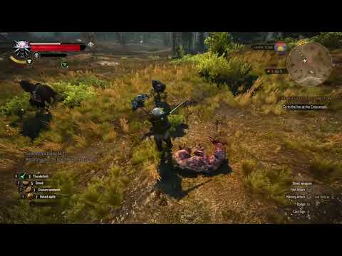 The Witcher 3, running on a Laptop RX 550