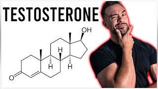 Testosterone Science | Why your levels are low and how to fix it