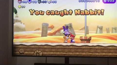 The NABBIT CAUGHT ME