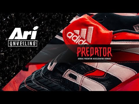 adidas predator acc