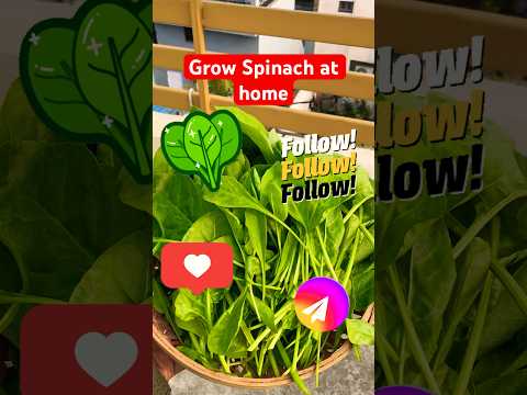 How to grow