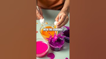 Exploring pH Levels with Cabbage Juice Indicator