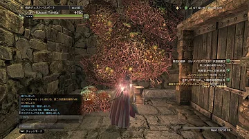 تحميل ドラゴンズドグマオンライン 戦技の継承 تحميل ドラゴンズドグマオンライン 戦技の継承