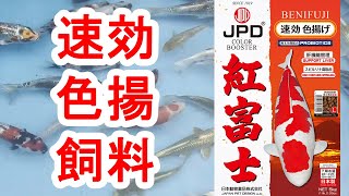 赤富士 匠色揚げ 沈下性 M20kg ×1個 日本動物薬品 鯉のエサ-