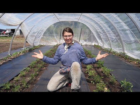 Videó: Hogyan építsünk karikás üvegházat – Tudjon meg többet a karikás házakról zöldségekhez