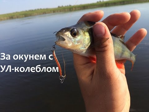 Ловля окуня с УЛ-колебалками