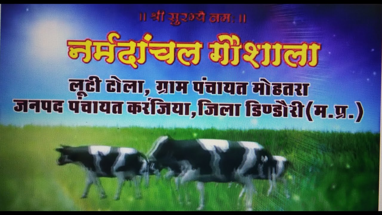 Gaushala Documentary (Construction work)