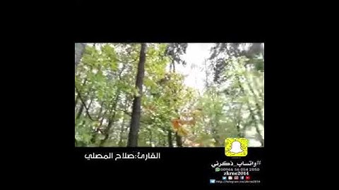 تلاوة خاشعة.. القارئ:صلاح المصلي.. #واتساب_ذكرني..