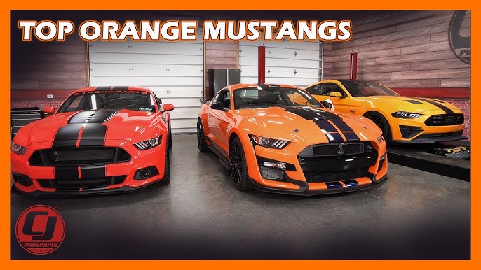 Mustang Family Grows with New Limited-Edition 2022 Mustang Shelby GT500  Heritage Edition, First-ever Mustang Coastal Edition, Plus Ford  Performance-Exclusive Code Orange Paint