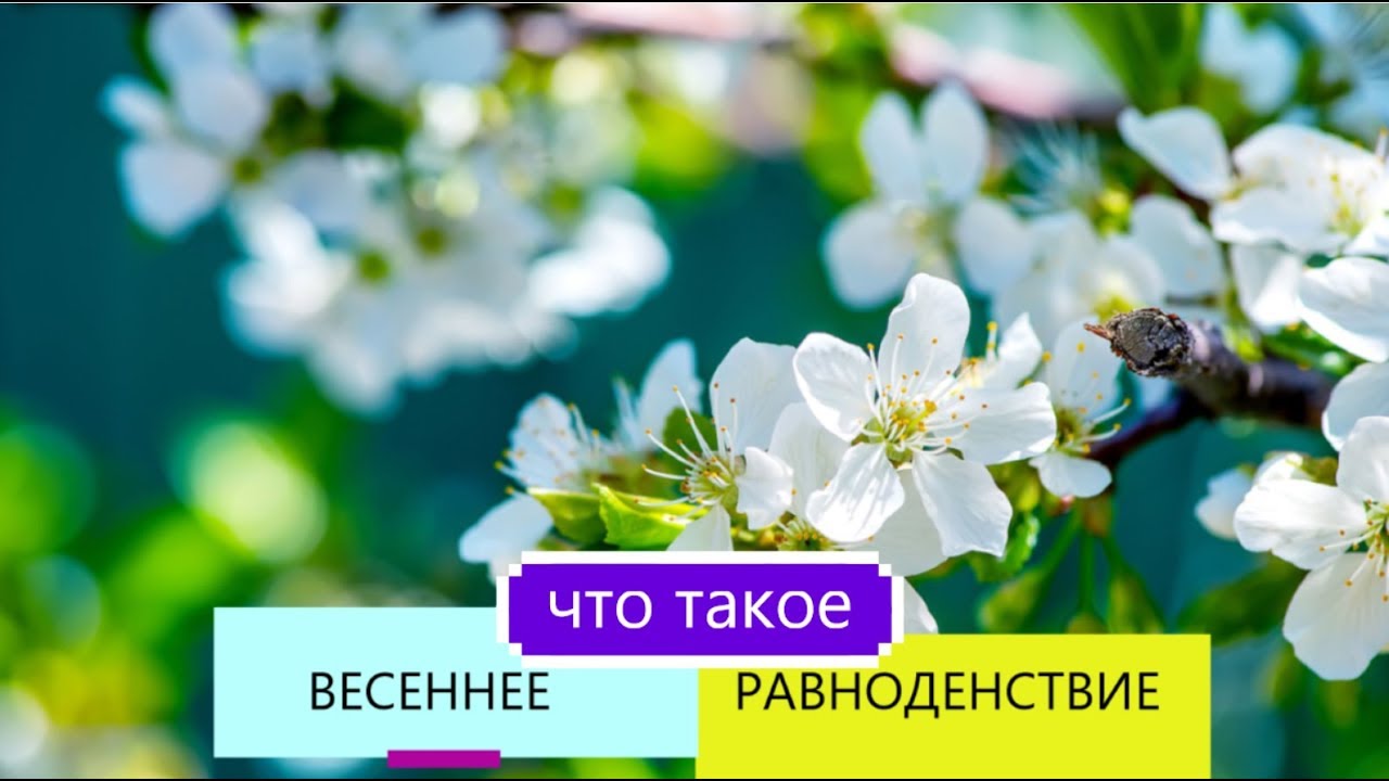 Весны 20. День весеннего равноденствия. 10 дней до весны на каком канале