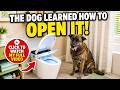 What you WANT to know about the electric Smart Toilet! | BCANhome