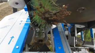 The Lifter Grader Arborgen