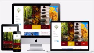 Capital District Digital Website Design Albany, NY