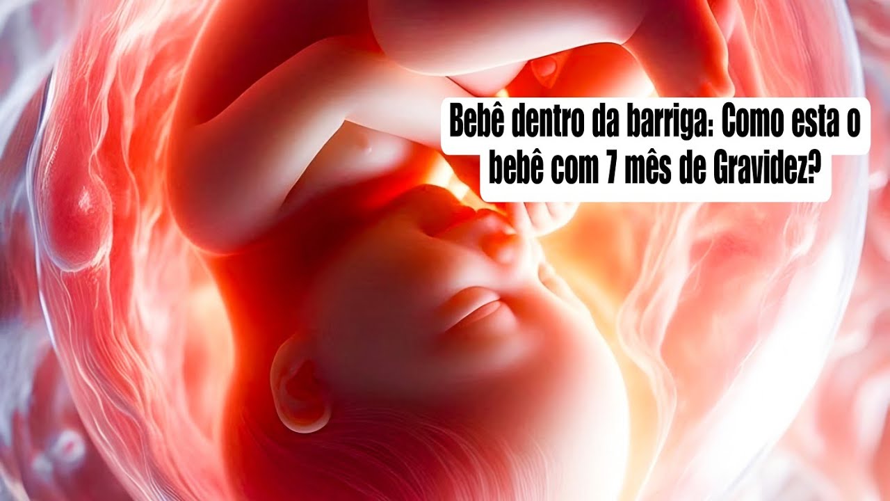 7 meses de gravidez: veja o incrível desenvolvimento do bebê dentro da ...
