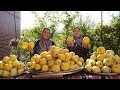 HOW TO MAKE QUINCE PRESERVES. QUINCE COMPOTE AND JAM FOR WINTER