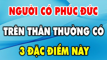 Người Có Phúc Đức Trên Thân Thường Có 3 Đặc Điểm Này - Triết Lý Cuộc Sống