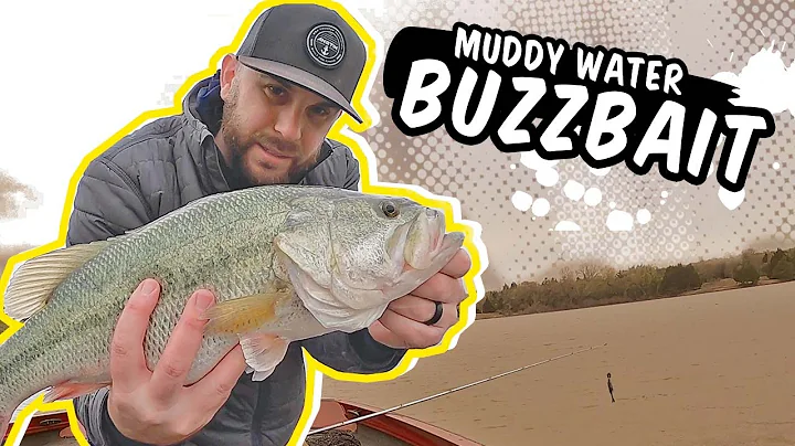 Muddy Water Buzzbait (Prespawn Topwater)