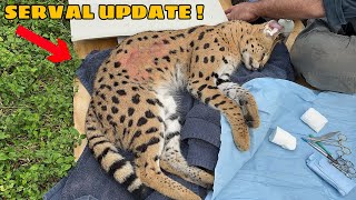 WHAT HAPPENED To My CAT ?! I CANT BELIVE THIS…