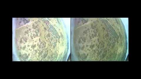 Feature-Based Automatic Temporal Alignment of Videos