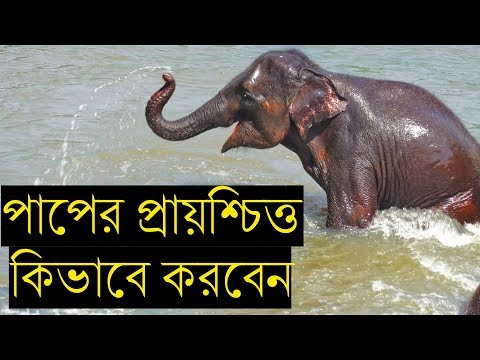 ভিডিও: পাপের প্রায়শ্চিত্ত কীভাবে করবেন