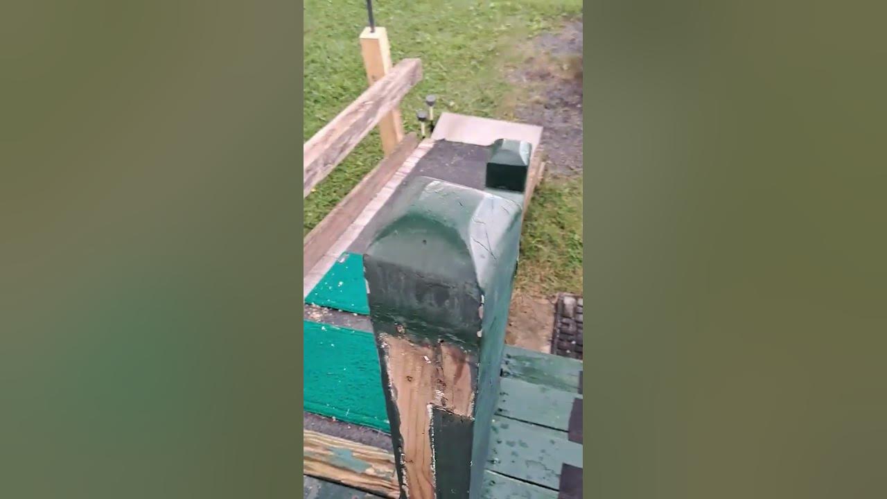 will-dozer-use-ramp-or-stairs-easy-way-vs-hard-way-dozer-puppy