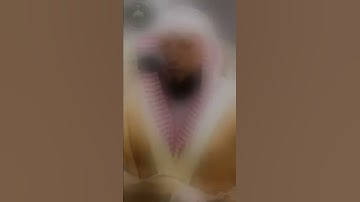 وَمَا يَعْزُبُ عَن رَّبِّكَ مِن مِّثْقَالِ ذَرَّةٍ - تلاوة من سورة يونس لفضيله الشيخ د.ماهر المعقلي