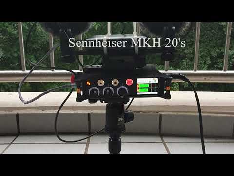 Sennheiser MKH 20's