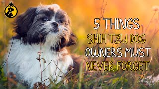 5 Things Shih Tzu Dog Owners Must Never Forget