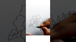 how to draw flowers & butterfly with pencil sketch,rose flower drawing,butterfly drawing